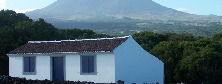 Les Açores : île de Pico